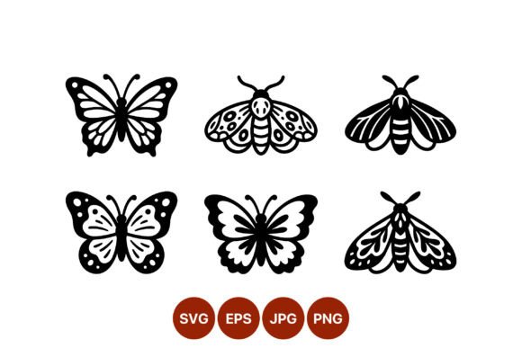 Black White Butterfly Moth Vector Guide