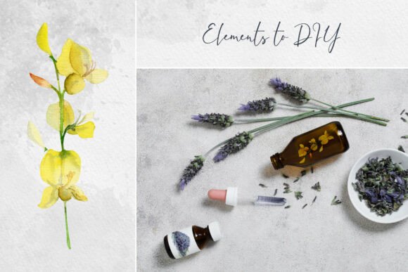 Lavender Sun Hats: Watercolor Design Elements