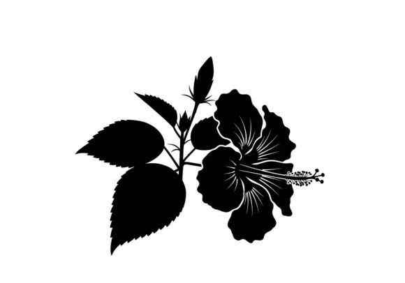 The Enduring Appeal of the Black Silhouette of Hibiscus Flower in Modern Design